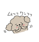ワンワントイプードル！（個別スタンプ：37）