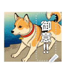 【犬】浮世絵風なワンちゃん達（個別スタンプ：3）