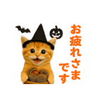 飛び出す！秋のネコたちにゃんだふる♡（個別スタンプ：10）