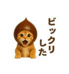 飛び出す！秋のネコたちにゃんだふる♡（個別スタンプ：12）