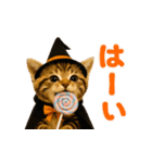 飛び出す！秋のネコたちにゃんだふる♡（個別スタンプ：13）
