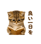 飛び出す！秋のネコたちにゃんだふる♡（個別スタンプ：16）