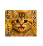 飛び出す！秋のネコたちにゃんだふる♡（個別スタンプ：20）