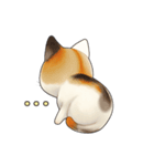 毎日使える！可愛い三毛猫スタンプ（個別スタンプ：7）