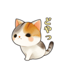 毎日使える！可愛い三毛猫スタンプ（個別スタンプ：10）
