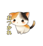 毎日使える！可愛い三毛猫スタンプ（個別スタンプ：13）