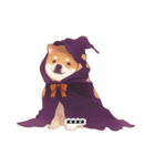 ハロウィーンのコスプレをしたわんちゃん（個別スタンプ：1）