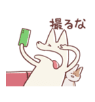 享年さんとしろさん-映画タイム！日本語版（個別スタンプ：14）