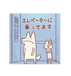 享年さんとしろさん-映画タイム！日本語版（個別スタンプ：29）