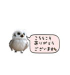 動く！フワフクロウちゃん（個別スタンプ：2）