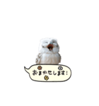 動く！フワフクロウちゃん（個別スタンプ：6）