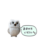 動く！フワフクロウちゃん（個別スタンプ：10）