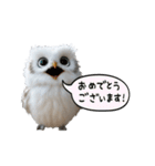 動く！フワフクロウちゃん（個別スタンプ：11）