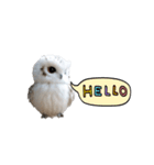動く！フワフクロウちゃん（個別スタンプ：18）