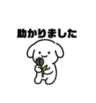 表情を変えない犬？（黒）（個別スタンプ：17）