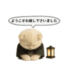 ネコしてます:大正浪漫1（個別スタンプ：1）