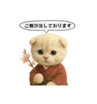 ネコしてます:大正浪漫1（個別スタンプ：4）