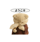 ネコしてます:大正浪漫1（個別スタンプ：6）