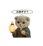 ネコしてます:大正浪漫1（個別スタンプ：14）