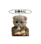 ネコしてます:大正浪漫1（個別スタンプ：26）