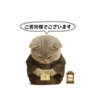 ネコしてます:大正浪漫1（個別スタンプ：39）