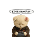 ネコしてます:大正浪漫1（個別スタンプ：40）