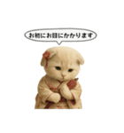 ネコしてます:大正浪漫2（個別スタンプ：1）