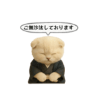 ネコしてます:大正浪漫2（個別スタンプ：2）