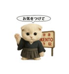 ネコしてます:大正浪漫2（個別スタンプ：9）