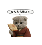 ネコしてます:大正浪漫2（個別スタンプ：38）