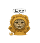 ネコしてます:いつものやつ 5（個別スタンプ：2）