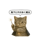 ネコしてます:いつものやつ 5（個別スタンプ：3）