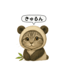 ネコしてます:いつものやつ 5（個別スタンプ：9）