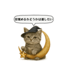 ネコしてます:いつものやつ 5（個別スタンプ：12）