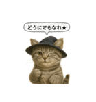 ネコしてます:いつものやつ 5（個別スタンプ：13）