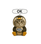 ネコしてます:いつものやつ 5（個別スタンプ：14）