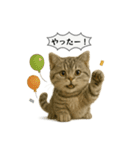 ネコしてます:いつものやつ 5（個別スタンプ：16）