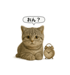 ネコしてます:いつものやつ 5（個別スタンプ：17）