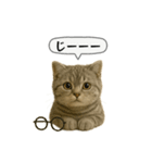 ネコしてます:いつものやつ 5（個別スタンプ：18）