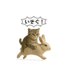 ネコしてます:いつものやつ 5（個別スタンプ：21）