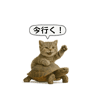 ネコしてます:いつものやつ 5（個別スタンプ：22）