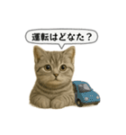 ネコしてます:いつものやつ 5（個別スタンプ：23）