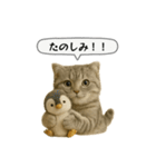 ネコしてます:いつものやつ 5（個別スタンプ：24）