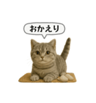 ネコしてます:いつものやつ 5（個別スタンプ：27）