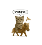 ネコしてます:いつものやつ 5（個別スタンプ：28）