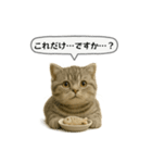 ネコしてます:いつものやつ 5（個別スタンプ：31）