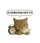 ネコしてます:いつものやつ 5（個別スタンプ：33）