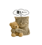 ネコしてます:いつものやつ 5（個別スタンプ：34）