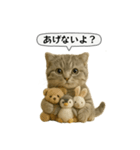 ネコしてます:いつものやつ 5（個別スタンプ：37）