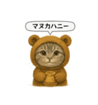 ネコしてます:いつものやつ 5（個別スタンプ：39）